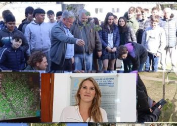 Arbolado Público: Este año se plantaron más de 600 ejemplares autóctonos