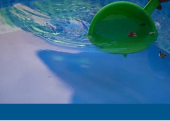 Ante la ola de calor, ASSA reiteró la importancia de realizar un uso responsable y solidario del agua potable