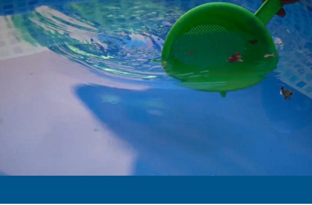 Ante la ola de calor, ASSA reiteró la importancia de realizar un uso responsable y solidario del agua potable