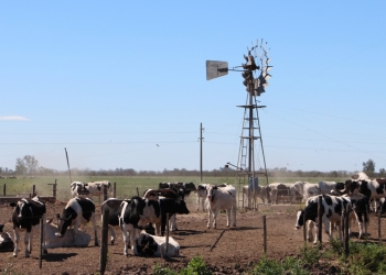 SE ENCUENTRA DISPONIBLE LA INSCRIPCIÓN A LA NUEVA ETAPA DEL PROGRAMA IMPULSO TAMBERO»