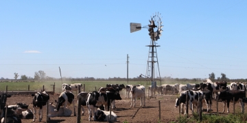 SE ENCUENTRA DISPONIBLE LA INSCRIPCIÓN A LA NUEVA ETAPA DEL PROGRAMA IMPULSO TAMBERO»