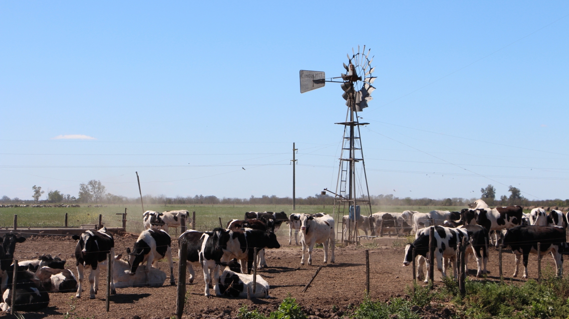 SE ENCUENTRA DISPONIBLE LA INSCRIPCIÓN A LA NUEVA ETAPA DEL PROGRAMA IMPULSO TAMBERO»
