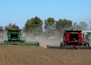 La agroindustria sumaría exportaciones por US$ 29,8 mil millones durante 2024