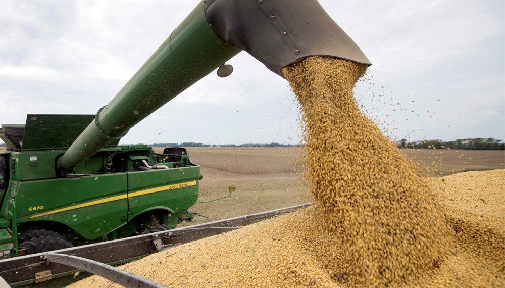 Soja: afirman que existe un “pronóstico prometedor” para las zonas que restan cosechar