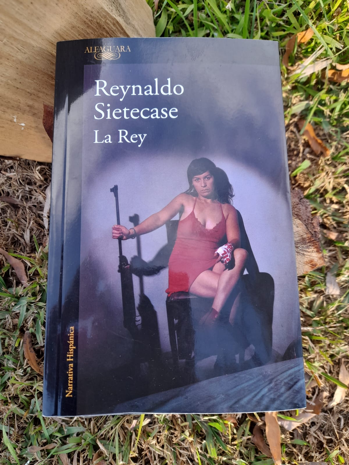 “La Rey” es la nueva creación del periodista rosarino Reynaldo Sietecase aparecida en abril de este año