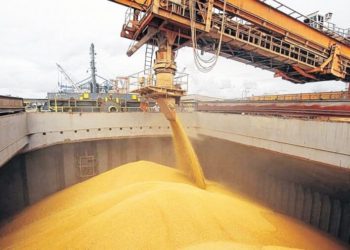 Las exportaciones agrícolas del 2025 dejarán tantos dólares como las de este año. Según el IERAL rondarán los US$ 29.000 millones