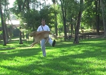 EN PRIMERA PERSONA: Gabriel Starz, Adiestrador Canino Profesional. Una vida dedicada al adiestramiento, la cría y el vínculo con los perros.