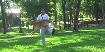EN PRIMERA PERSONA: Gabriel Starz, Adiestrador Canino Profesional. Una vida dedicada al adiestramiento, la cría y el vínculo con los perros.
