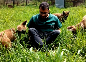 ANTONIO SCIABARRASI, VETERINARIO GALVENSE QUE CUIDA LA VIDA SILVESTRE EN EL MUNDO ENTERO