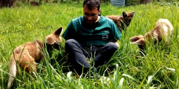 ANTONIO SCIABARRASI, VETERINARIO GALVENSE QUE CUIDA LA VIDA SILVESTRE EN EL MUNDO ENTERO