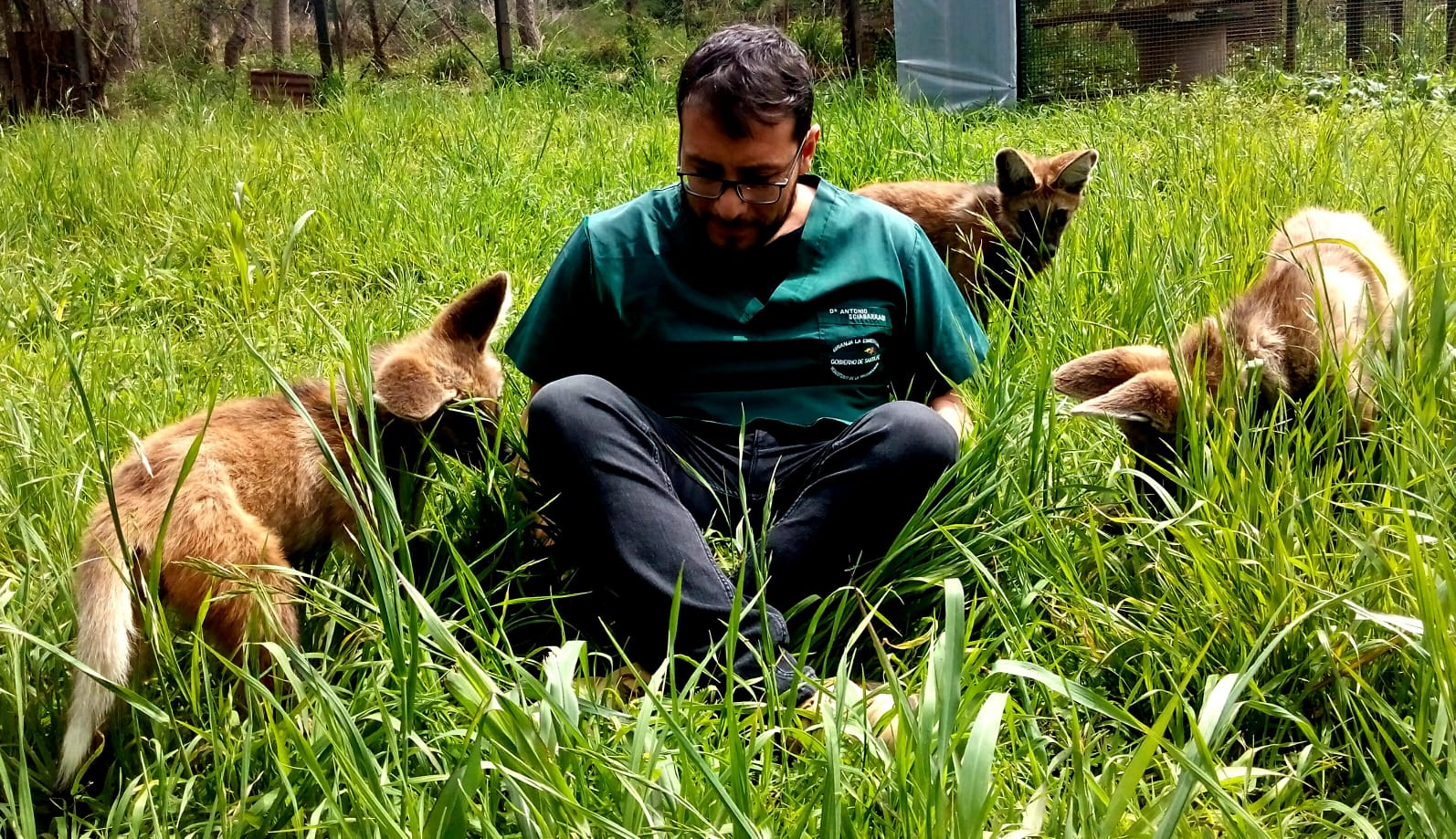 ANTONIO SCIABARRASI, VETERINARIO GALVENSE QUE CUIDA LA VIDA SILVESTRE EN EL MUNDO ENTERO