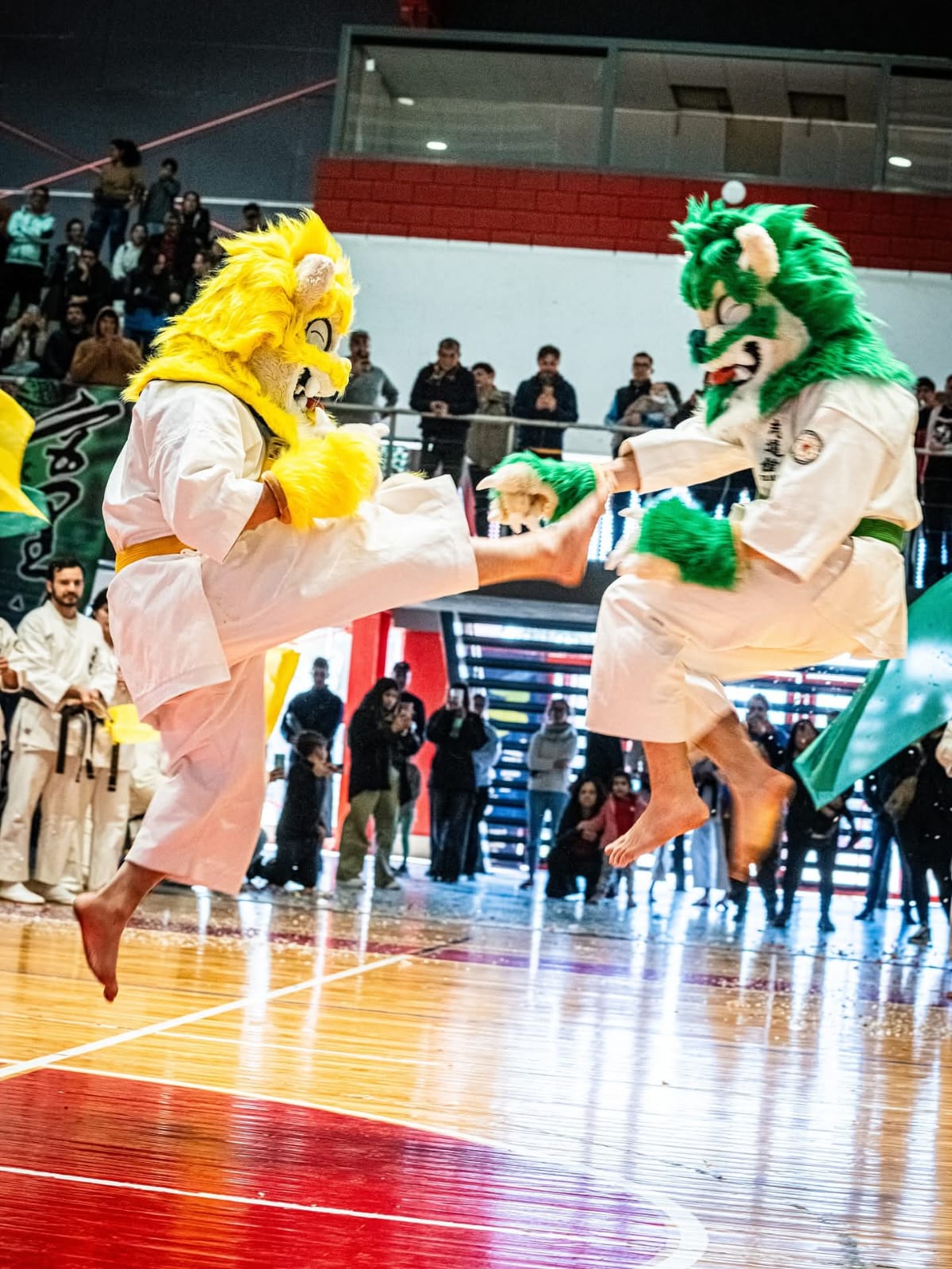 Karate: amplia participación galvense en el Kodomo Taikai 2025 realizado en Villa María
