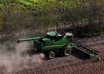 El clima mejora el panorama para el agro santafesino: qué se espera para la campaña gruesa