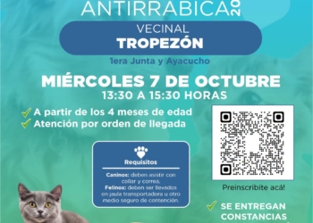 Jornada gratuita de vacunación antirrábica para perros y gatos