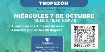 Jornada gratuita de vacunación antirrábica para perros y gatos